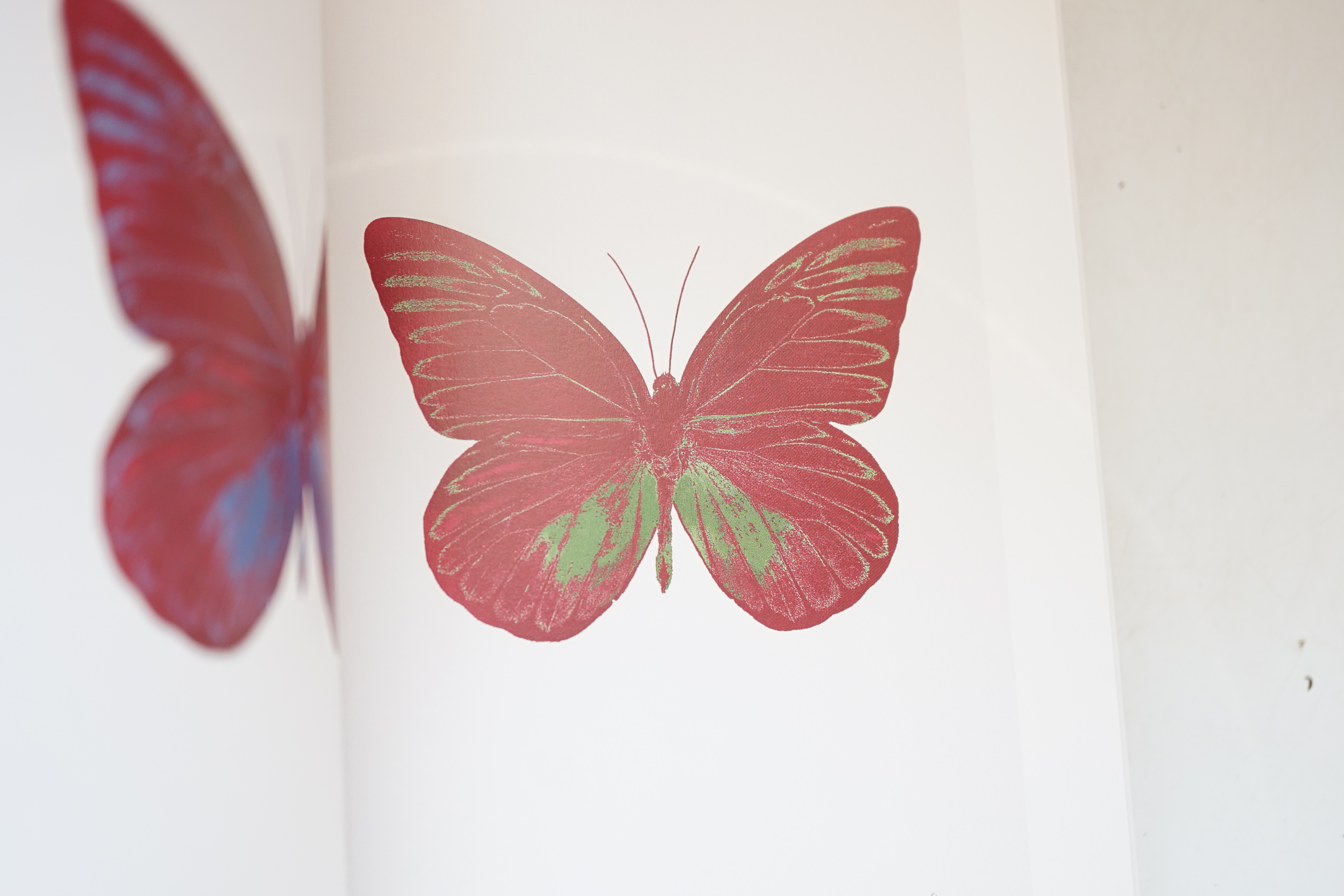 Hirst, Damien - The Souls I - IV, 1st edition, tall 8vo, publisher’s decorated full beige cloth, illustrated in colour throughout, including 4 metallic foil blocked printed leaves of plates, Other Criteria & Paul Stolper
